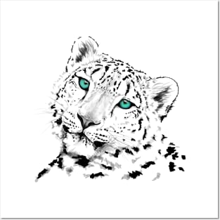 Snow leopard Posters and Art